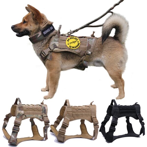 Dog Harness and Leash Set With Nylon Handle