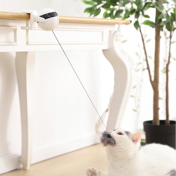 Cat's Electric Teaser Toy